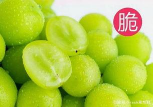 晴沐吃瓜,揭秘娱乐圈幕后故事