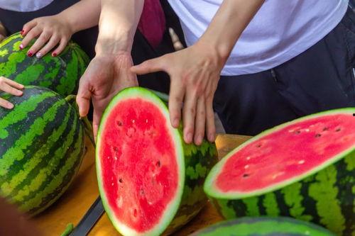 uki自由吃瓜基地,揭秘网络热点的幕后故事