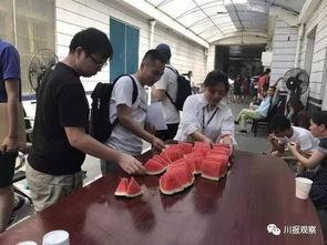 热心的吃瓜群众成都,吃瓜群众的热闹日常