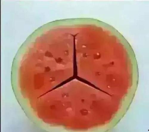 别跟我说话吃瓜,吃瓜群众狂欢时刻