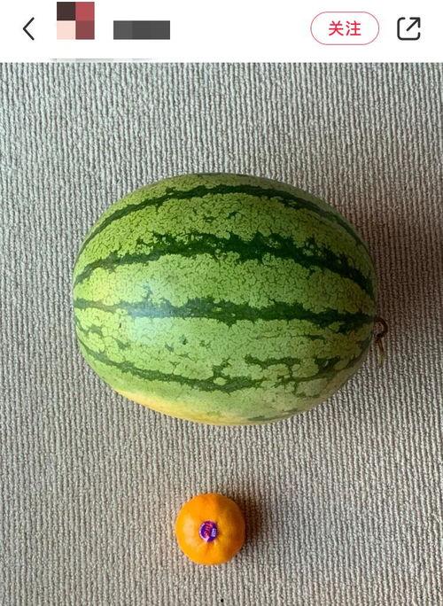 吃瓜世界线,揭秘娱乐圈幕后真相与八卦风云