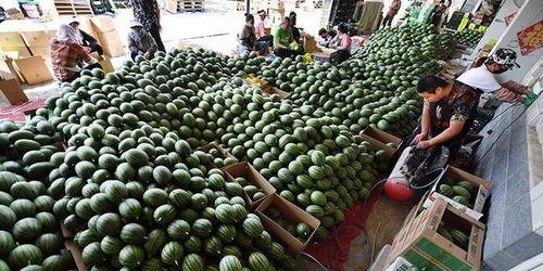 吃瓜群众标题,揭秘“吃瓜群众”背后的热议焦点与现象解析