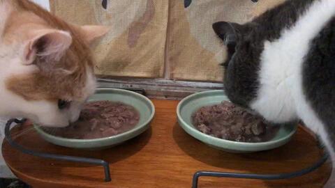 吧唧小猫吃瓜,揭秘娱乐圈那些不为人知的幕后故事