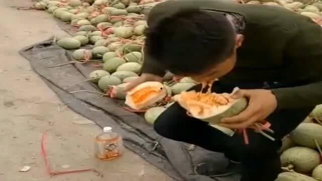 吃哈密瓜过瘾,一尝倾心，回味无穷的甜蜜诱惑