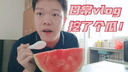 vlog在线吃瓜,在线吃瓜，揭秘网红幕后故事