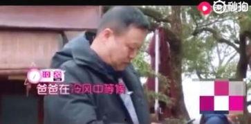 年度吃瓜最佳观众,最佳观众风云录