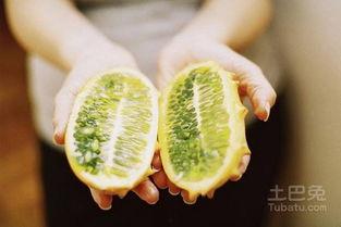 刺交瓜怎么吃,解锁美味新体验