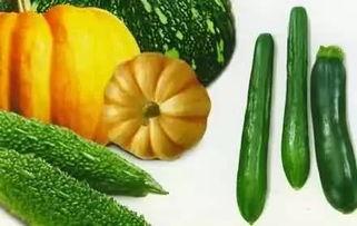 吃瓜到青岛,从吃瓜到深度体验