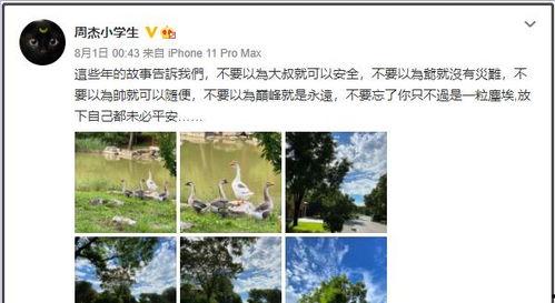 叶璇吃瓜的视频,揭秘娱乐圈幕后故事