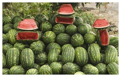 吃瓜看路,揭秘娱乐圈背后的故事与真相