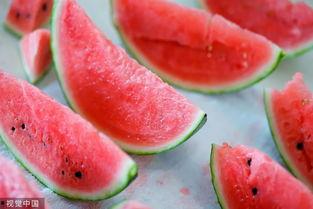 以吃瓜之名,以吃瓜之名，探寻明星幕后故事