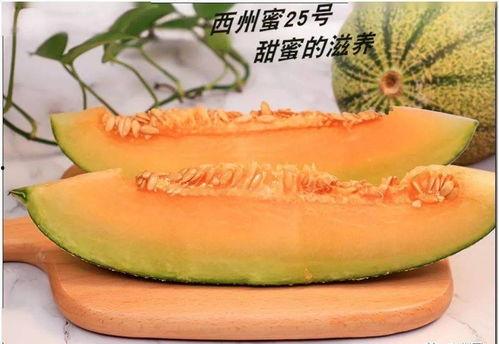 吃瓜群众老奶奶视频,老奶奶吃瓜群众视角下的趣味生活瞬间