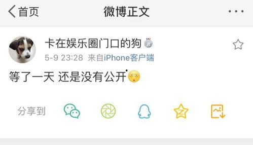 远离吃瓜爆料,远离吃瓜，探寻幕后真相