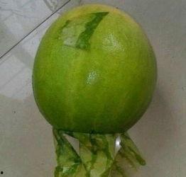 热门吃瓜事件应用,网络舆论场上的风云变幻