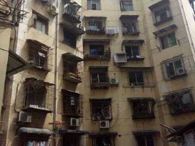 林家坡大院吃瓜,一场别开生面的吃瓜盛宴