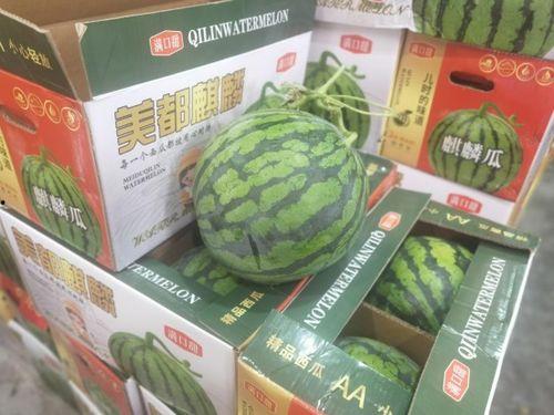 温州时刻吃瓜,瓜果飘香，品味生活