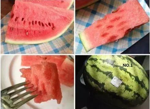 小墩墩吃瓜,小墩墩的瓜田奇遇记