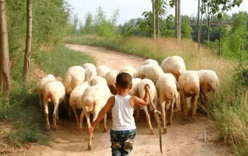 张伟吃瓜gif,揭秘娱乐圈幕后真相