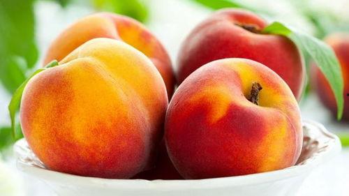 吃瓜窗户桃子,吃瓜群众视角下的窗户桃子奇遇记