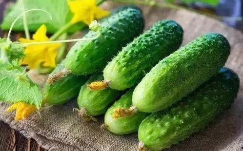 小季吃瓜,揭秘瓜界那些事儿