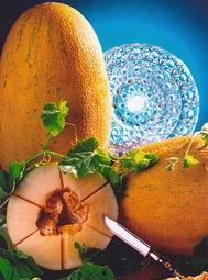 冬天吃哈密瓜怎么加热吃