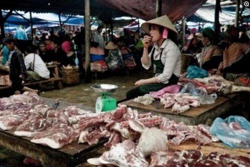 越南农村吃瓜视频,瓜果飘香，欢乐满溢