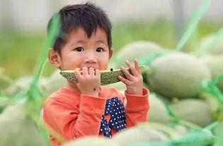 吃火焰蜜瓜,挑战味蕾极限的甜蜜火焰之旅