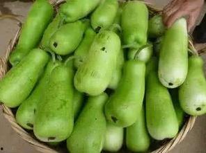 葫芦瓜条还吃吗,美味依旧，健康相伴