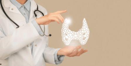 吃瓜吃的掉头发吗,揭秘过度追剧的惊人后果