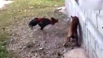 吃瓜侠拍摄花絮,拍摄花絮大公开