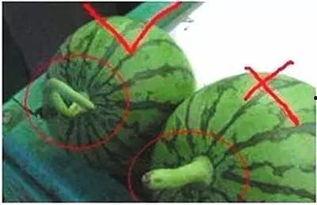 小潮潮吃瓜,揭秘娱乐圈那些不为人知的幕后故事