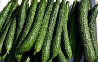 松瓜减肥可以吃吗,健康美味两不误的减肥食材探索