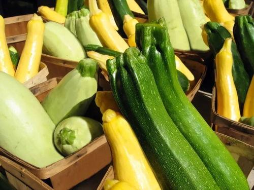 东北夏天吃的瓜,东北特色夏日瓜果盛宴