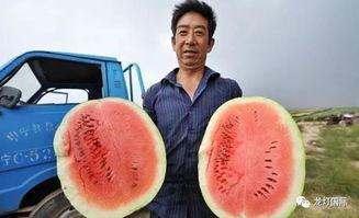 大土吃瓜,揭秘娱乐圈幕后故事