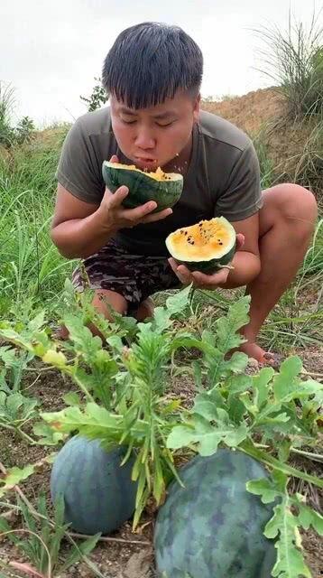 小西瓜吃瓜方式,揭秘瓜界新潮流