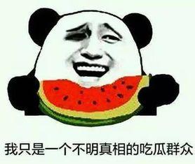 销售吃瓜事件,一场销售奇遇记的幕后揭秘