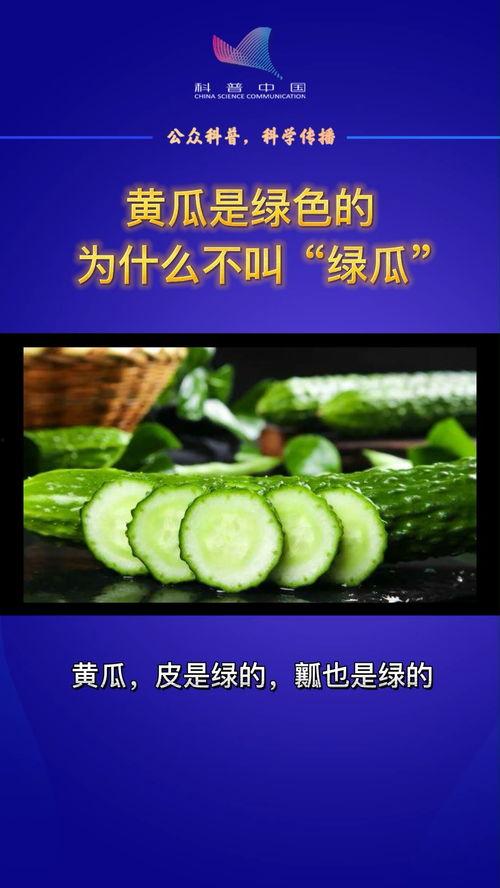 吃瓜科普知识,一网打尽瓜界知识