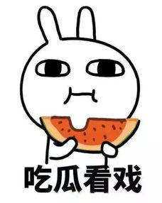 吃瓜打瓜瓜,吃瓜打瓜瓜，夏日消暑好时光
