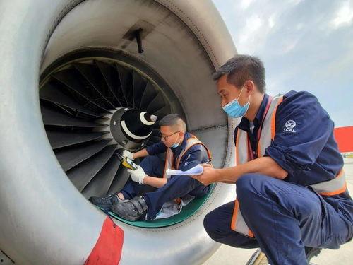 飞机在哪里吃瓜,揭秘飞机上吃瓜的奇妙体验