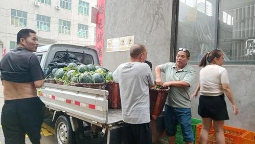 永康市吃瓜,瓜果飘香，品味生活新篇章