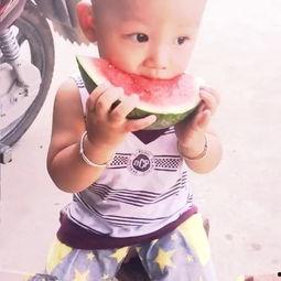 胖萌萌吃瓜,胖萌萌的瓜田奇遇记