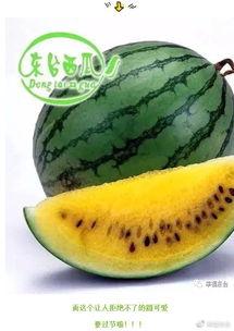 全球吃瓜路,揭秘各国独特的美食文化之旅